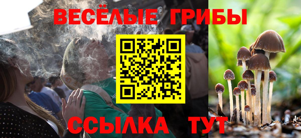 Уссурийск  Галлюциногенные грибы Psilocybine cubensis  Псилоцибиновые грибы Cubensis  Вход с VPN 